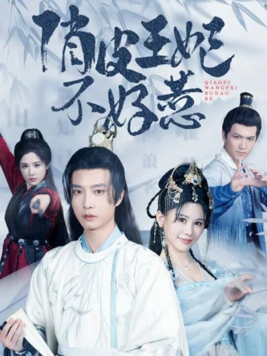 11795-俏皮王妃不好惹(96集)邹漪琳-汪子夕