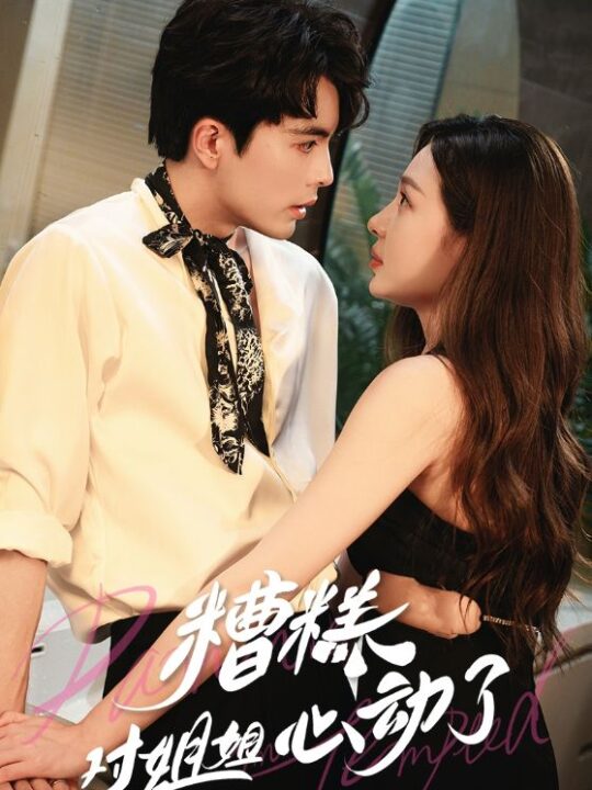 13333-糟糕对姐姐心动了(40集)王楠-盛以捷