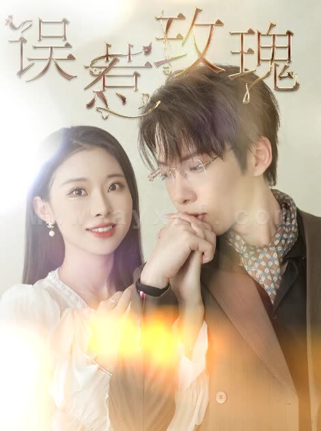 13500-误惹玫瑰(66集)张乃歌-袁祎晴 最新 图1张