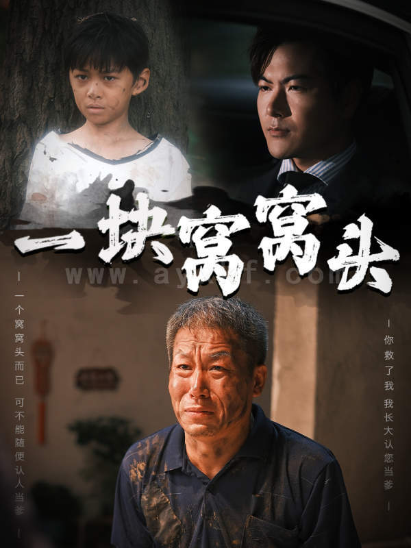 12772-一块窝窝头-儿子患癌以后(60集) 最新 图1张