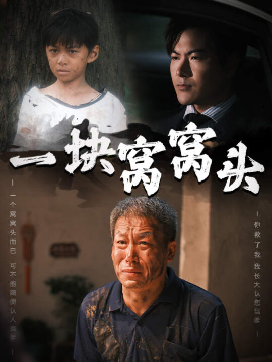 12772-一块窝窝头-儿子患癌以后(60集)