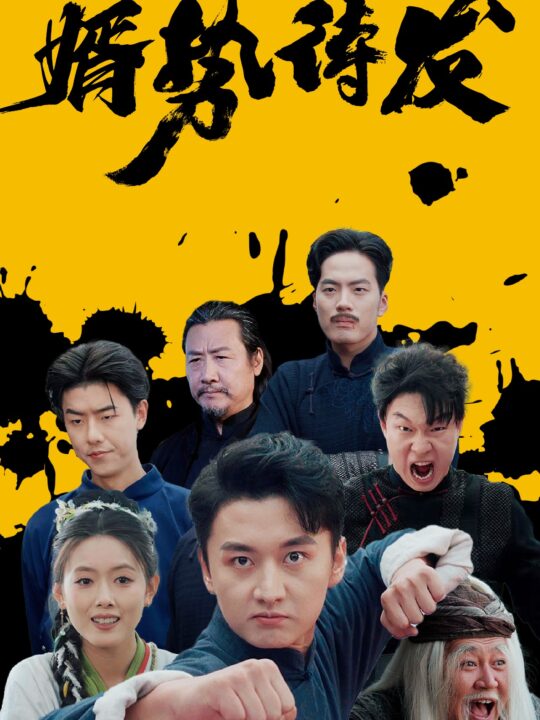 13401-婿势待发(35集)