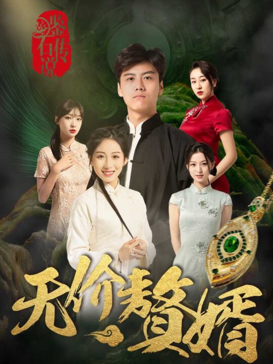 13036-鉴宝传说之无价赘婿(100集)丁磊-侯雨彤