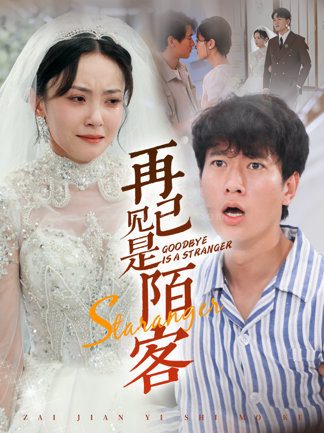 13285-再见已是陌客-归来的星光(55集)张子安 最新 图1张