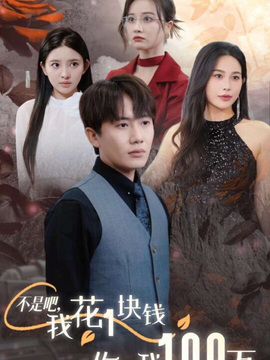 13080-不是吧-我花1块钱你给我100万-24小时我百倍返现(37集)