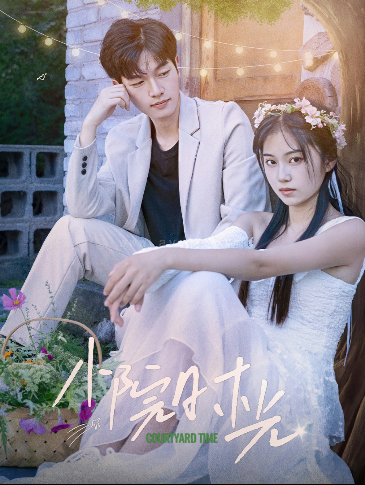 ssd5229-小院时光(100集) 最新 图1张