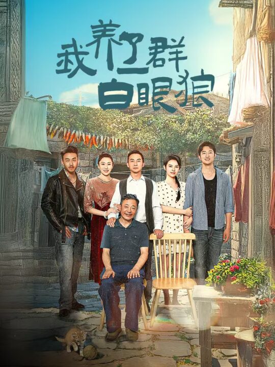 14308-我养了一群白眼狼-家家有本难念的经(34集)