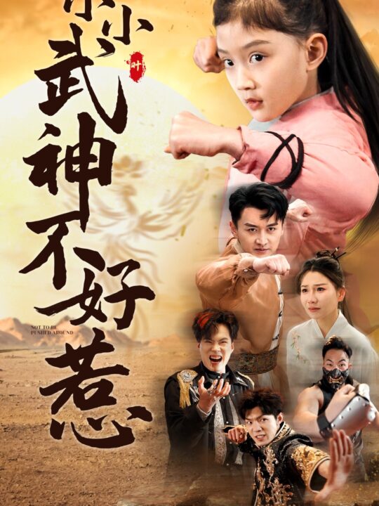 16322-小小武神不好惹(52集)