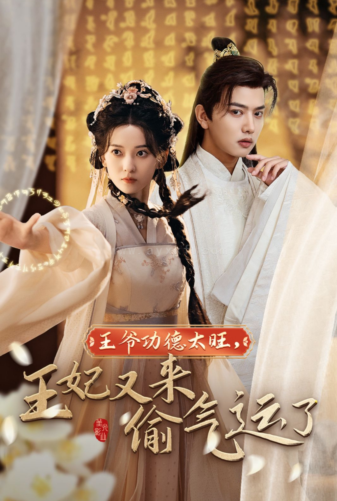 14207-王爷功德太旺王妃又来偷气运了(40集)王宇威-蔺瑞雪 最新 图1张