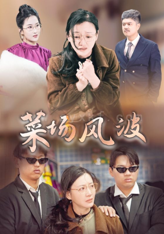 ssd5864-菜场风波(35集) 最新 图1张