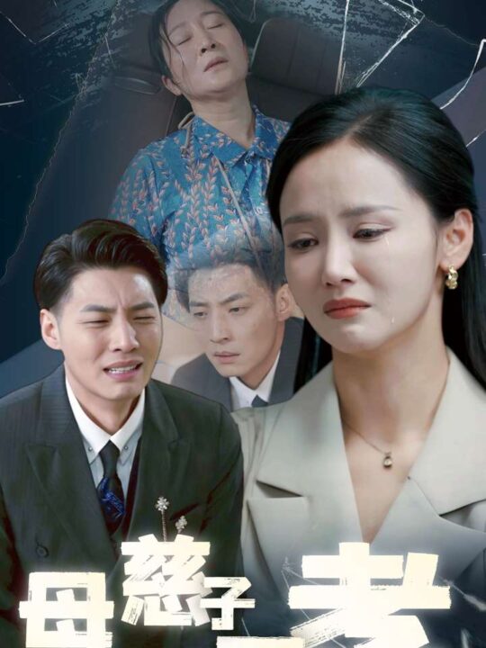 13633-母慈子不孝(30集)游雅＆王妍