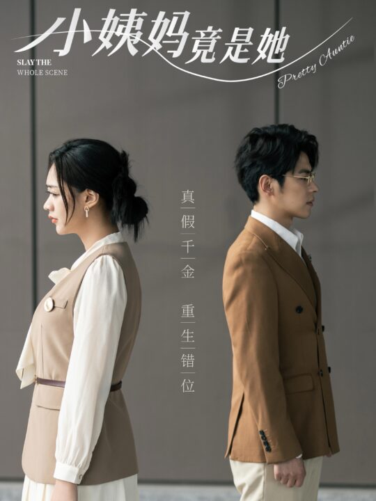 14195-小姨妈竟是她(85集)董一