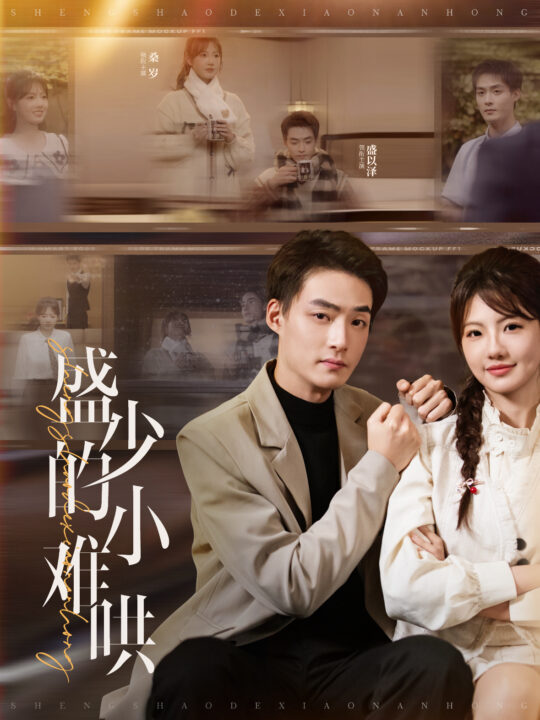 ssd5306-盛少的小难哄(95集)