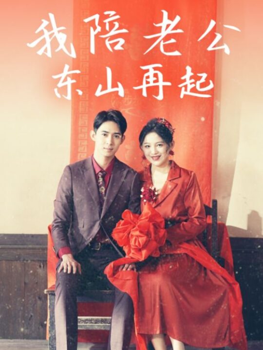 17335-我陪老公东山再起(50集)崔秀子