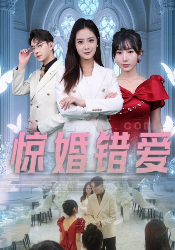 16972-惊婚错爱(30集)浅柔 最新 图1张