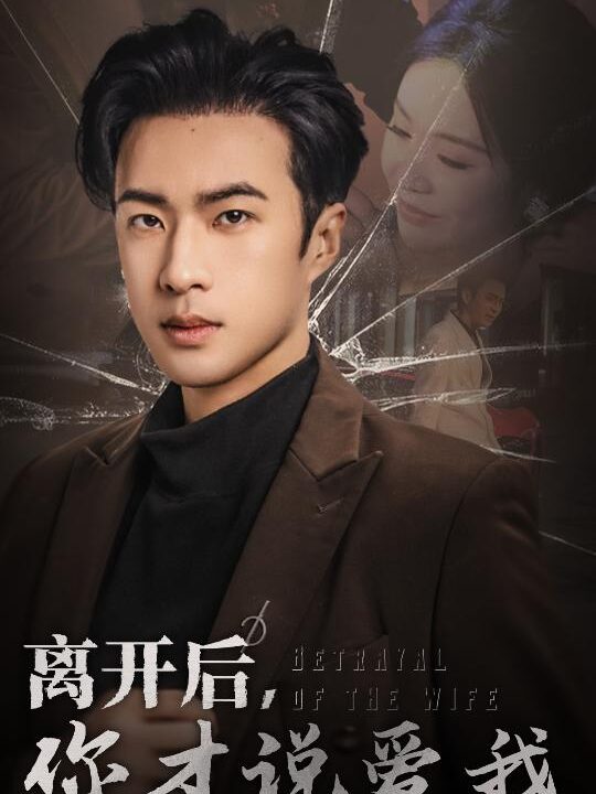 17342-离开后你才说爱我-心如枯木难逢春(30集)孔奇力