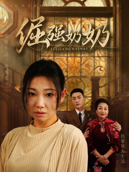 16899-倔强奶奶(32集)