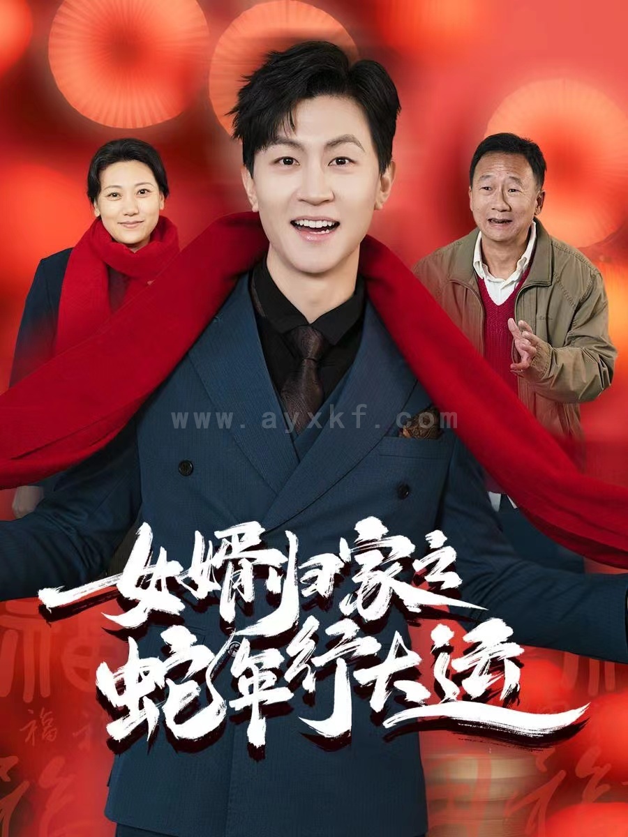 17373-女婿归家之蛇年行大运-蛇年已至游子当归(65集) 最新 图1张