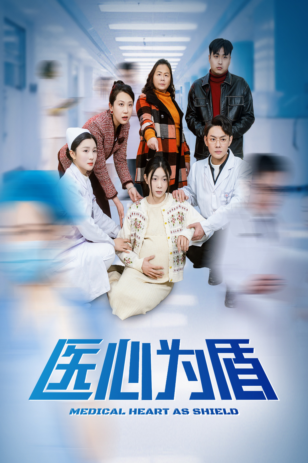 17041-医心为盾(30集) 最新 图1张