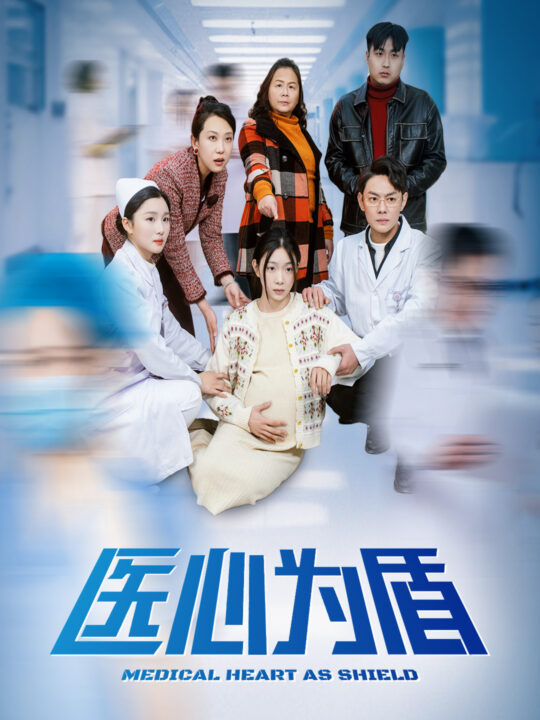 17041-医心为盾(30集)