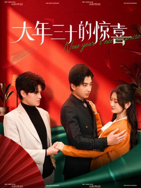 17350-大年三十的惊喜(47集)杨珊子