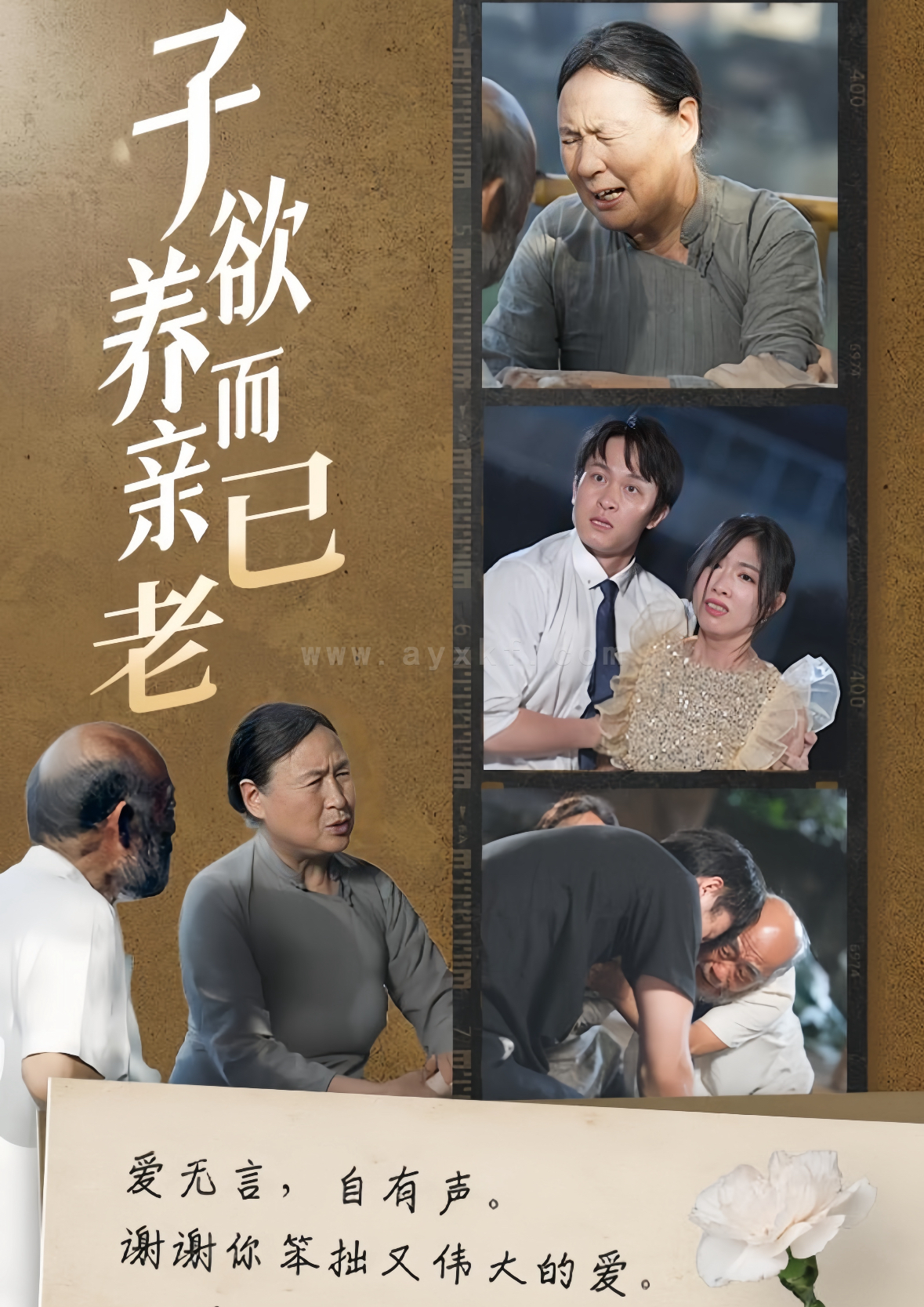 ssd5589-子欲养而亲已老(58集)(1) 最新 图1张