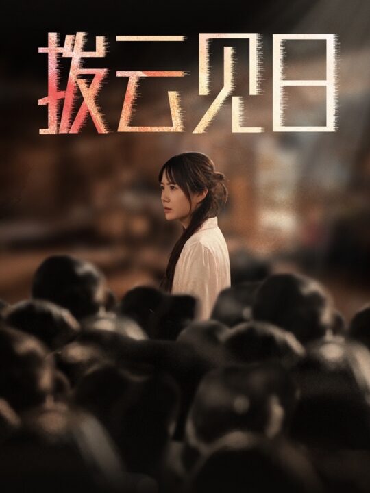 16506-新-拨云见日(30集)