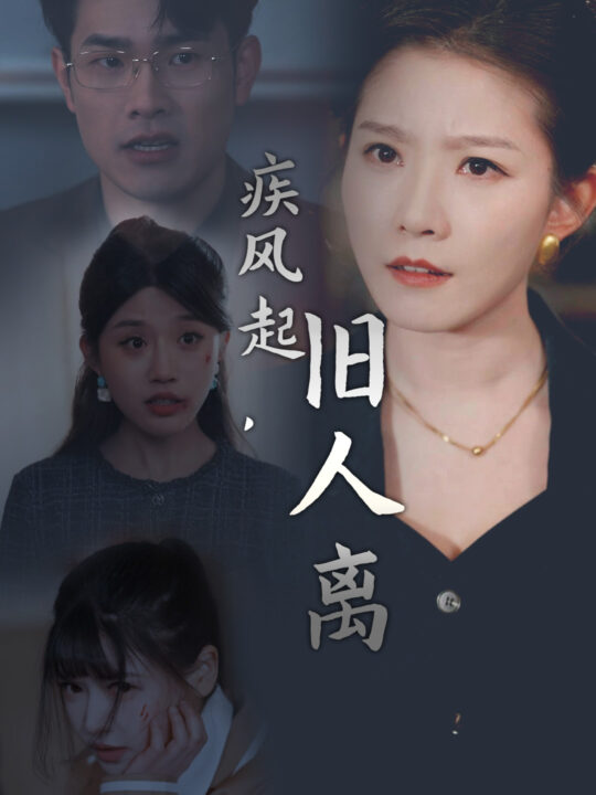 17023-疾风起旧人离(32集)