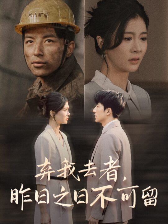 17404-弃我去者-昨日之日不可留(38集)程美华-吴昊