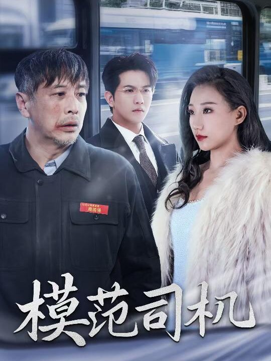 16999-模范司机(30集)