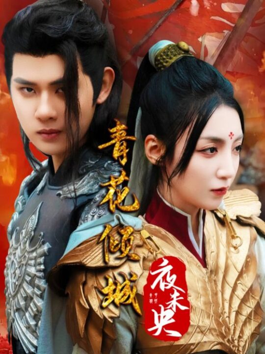 17346-青花倾城夜未央(50集)