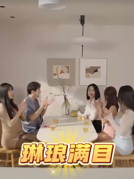 16342-琳琅满目(91集)擦边剧(1)