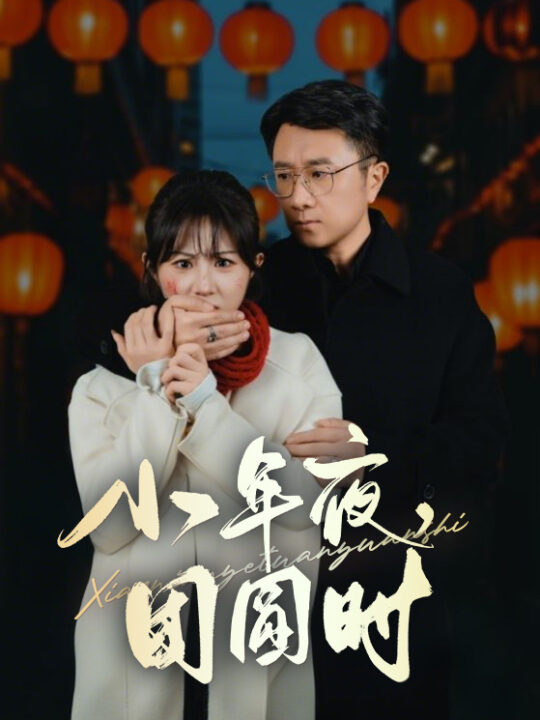 17044-小年夜团圆时-小年夜万家灯火没有我(35集)