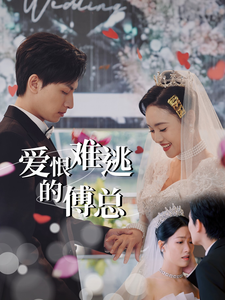 17397-爱恨难逃的傅总(82集)