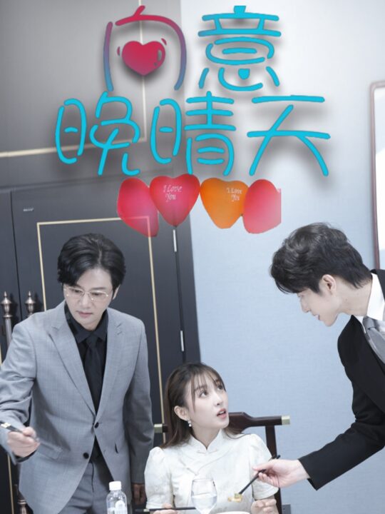 17037-向意晚晴天(30集)