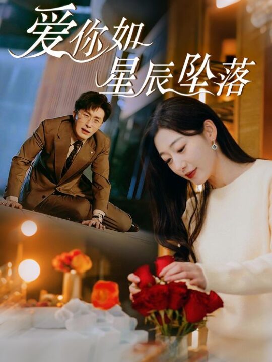 16963-爱你如星辰坠落(42集)叶庭＆刘亚倩