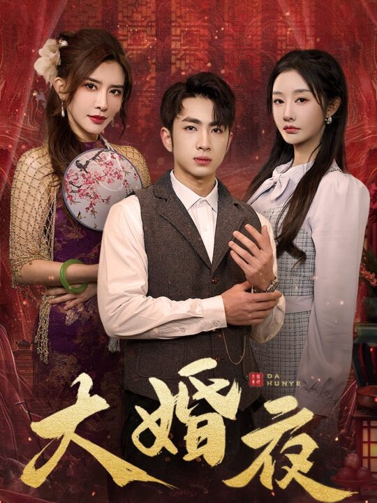 17344-大婚夜(40集)