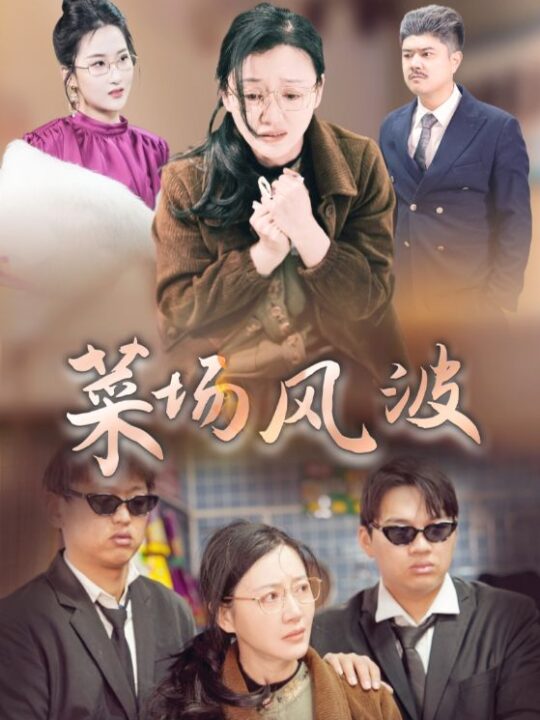 ssd5503-菜场风波(35集)(1)