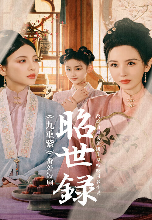 17661-昭世录(28集)