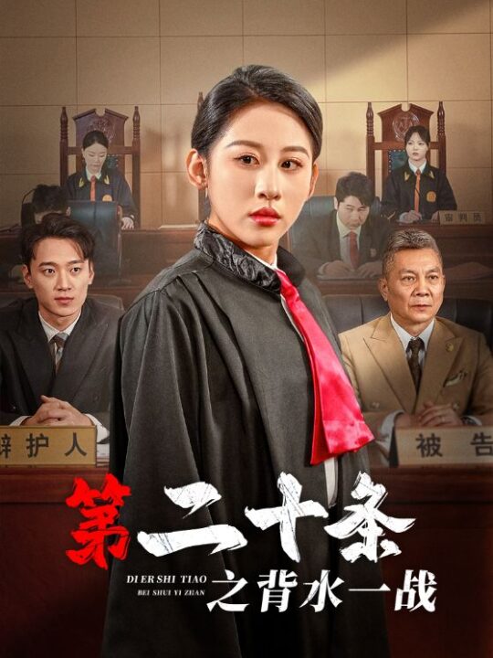 17513-第二十条之背水一战(43集)