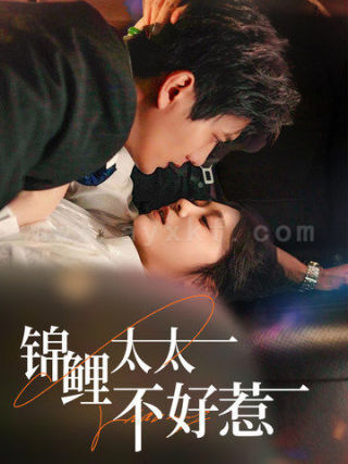 17401-锦鲤太太不好惹(51集)彭瑶