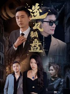 16480-新-逆风翻盘(94集) 最新 图1张