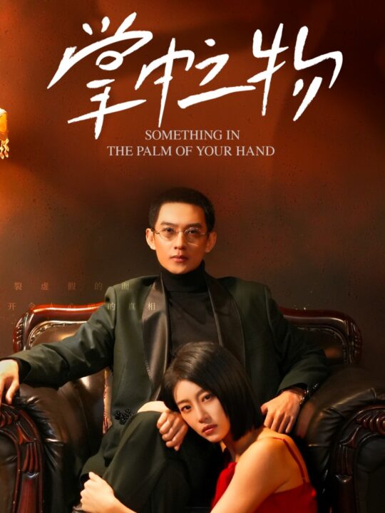 17662-掌中之物(62集)于小婉