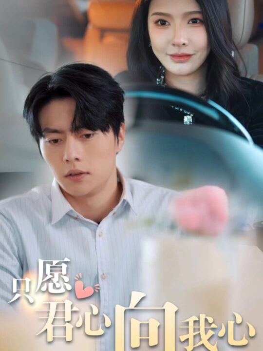 16978-只愿君心向我心(31集)张磊