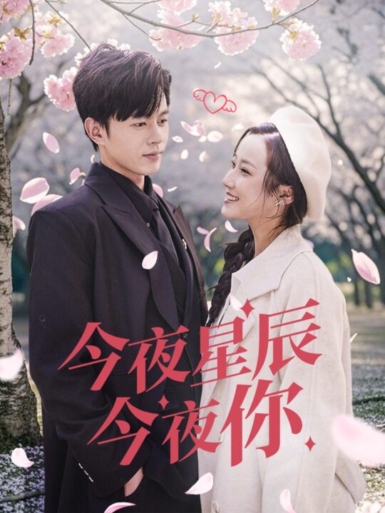 18157-今夜星辰今夜你(74集)