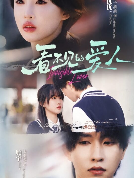 17790-看不见的爱人(12集)张集骏