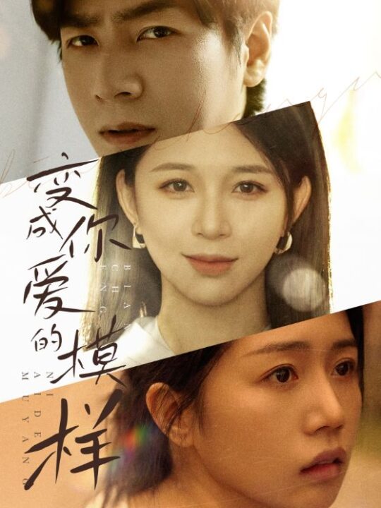 17688-变成你爱的模样(61集)韩锦录