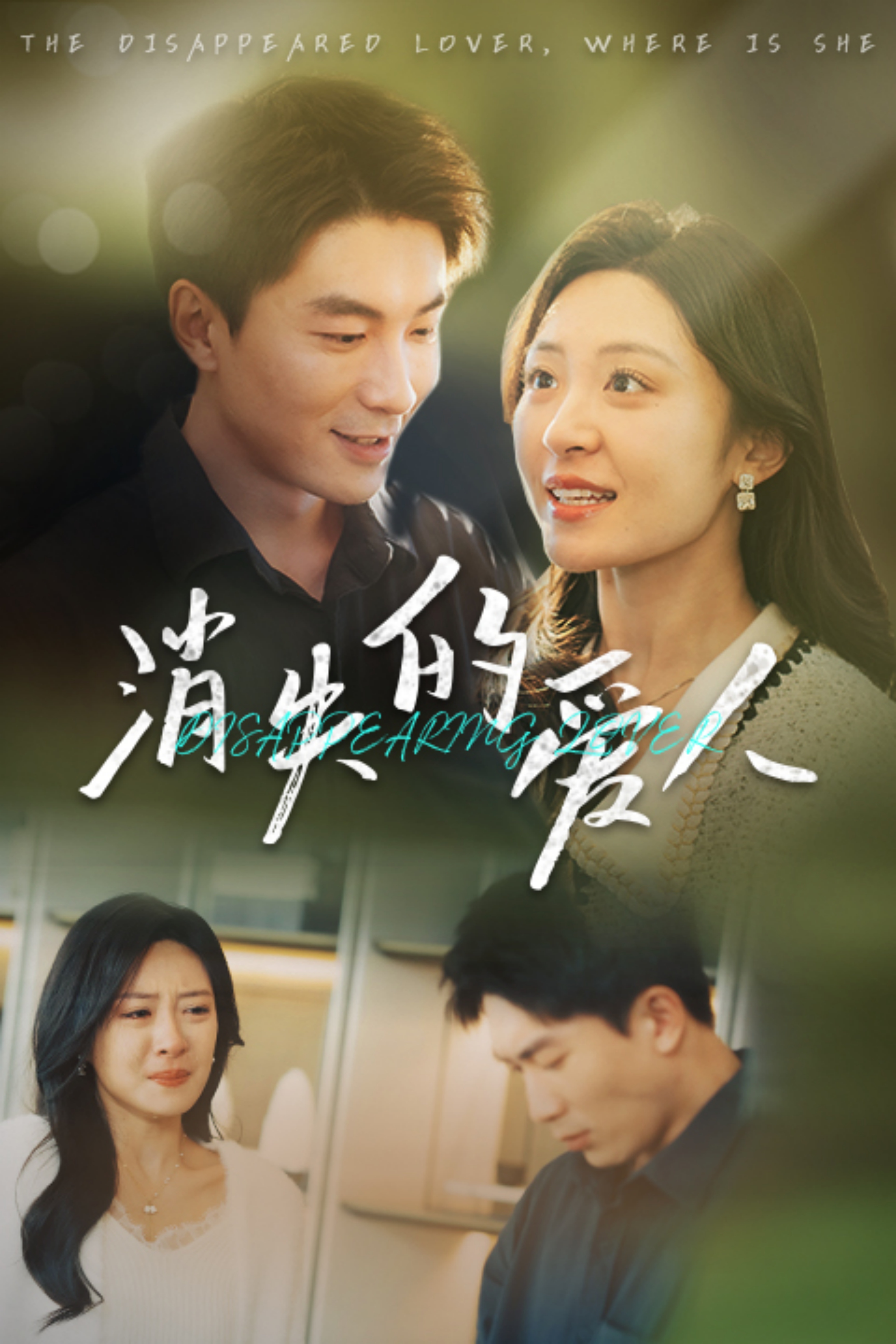 17789-消失的爱人(40集) 最新 图1张