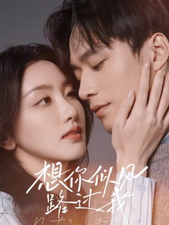 17799-想你似风路过我(40集)王皓祯＆孙露鹭